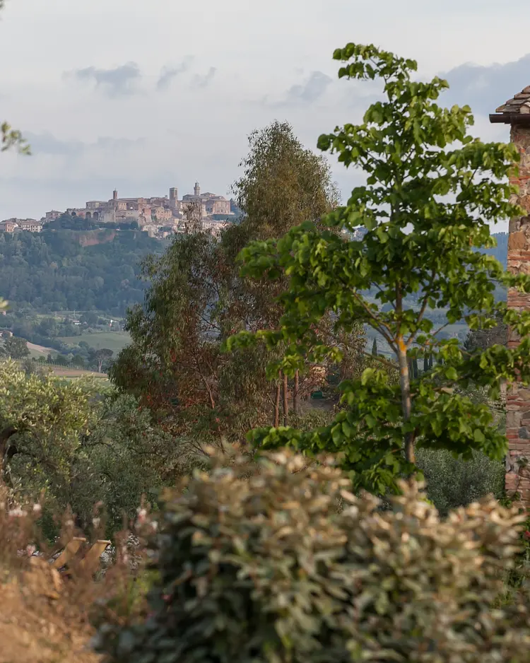 Follonico - Torrita di Siena, Italy | Good Travel