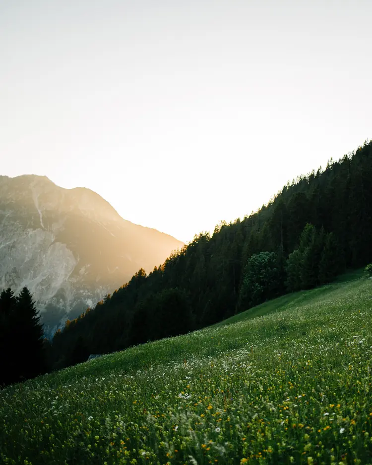 cabinski Montafon - St. Gallenkirch, Österreich | Good Travel