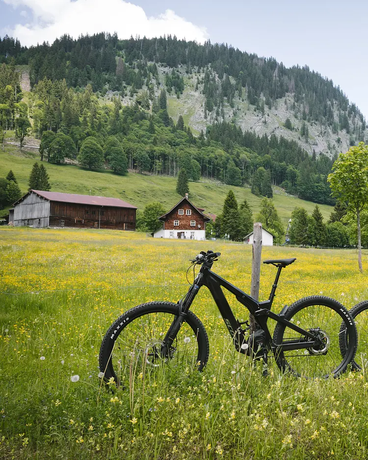 Halwina Hideaway - Sibratsgfäll, Österreich | Good Travel
