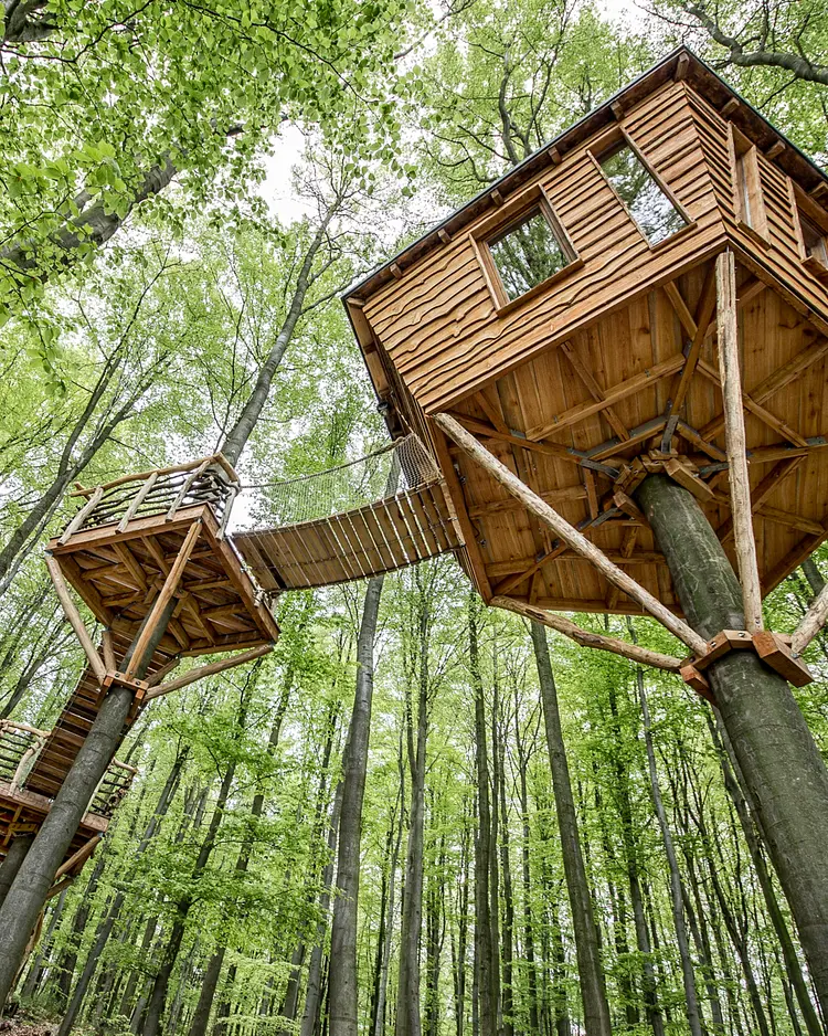 Robins Nest - Witzenhausen, Germany | Good Travel