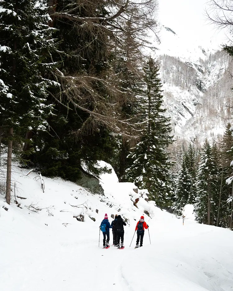 MoaAlm Mountain Retreat - Kals am Großglockner, Österreich | Good Travel