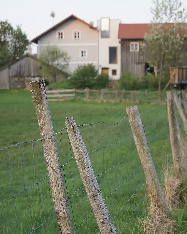 Moosham 13 - Grafenau, Germany | Good Travel
