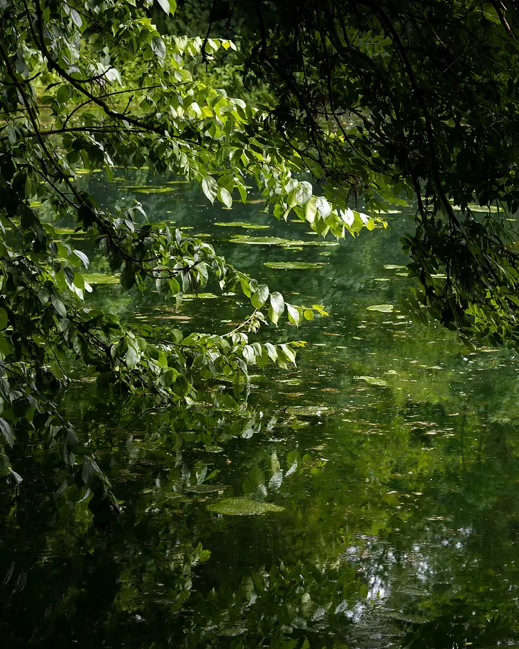 Moulin Moulin - Dannes, Frankreich | Good Travel
