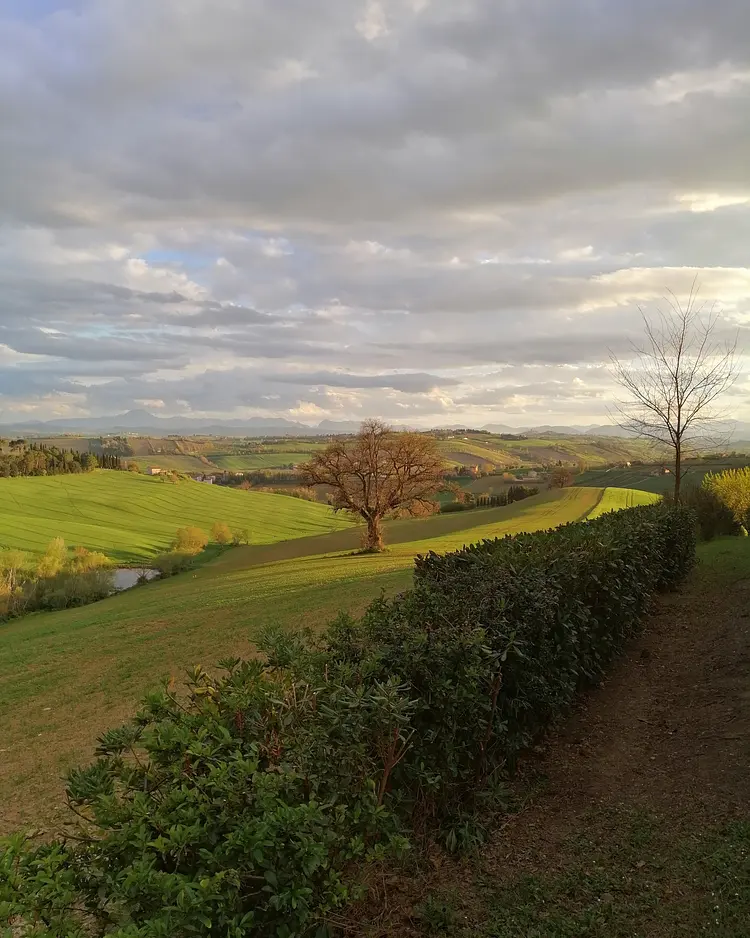 Solea Natural Relais - Trecastelli, Italy | Good Travel