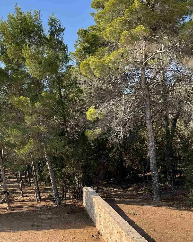 Apartment-Suites Ibiza - Sant Josep, Spain | Good Travel