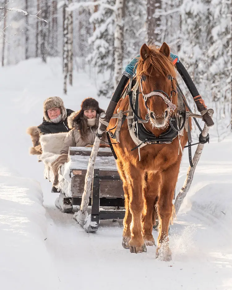 Polar Lights Lodge - Sirkka, Finnland | Good Travel
