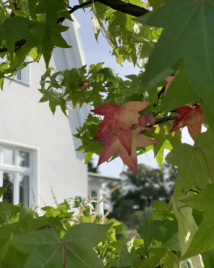 Villa Hygge - Ostseebad Binz auf Rügen, Deutschland | Good Travel