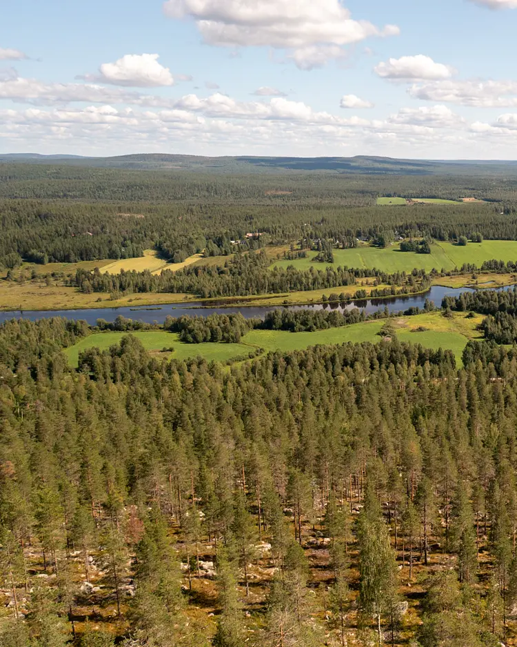 WALD Villas - Aavasaksa, Finnland | Good Travel