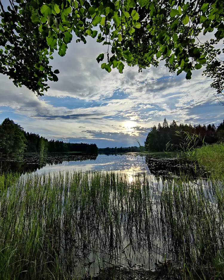 Tuukkala Farm B&B - Ristiina, Finland | Good Travel