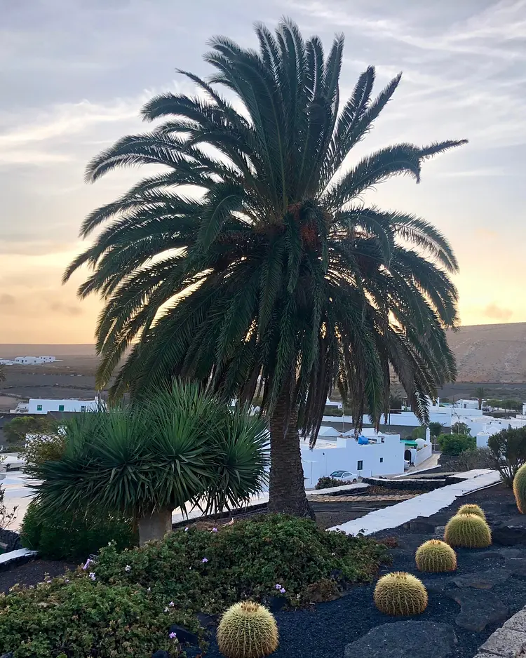 Casa Alegria - Lanzarote, Spain | Good Travel